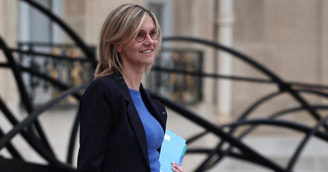 La ministre de la Transition écologique redit son opposition aux néonicotinoïdes