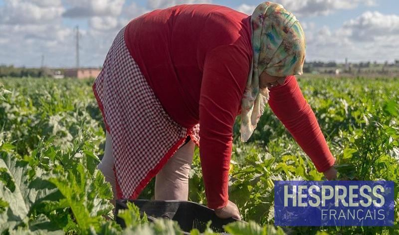 Le Maroc 32e en Afrique dans l'indice d'intégration des femmes