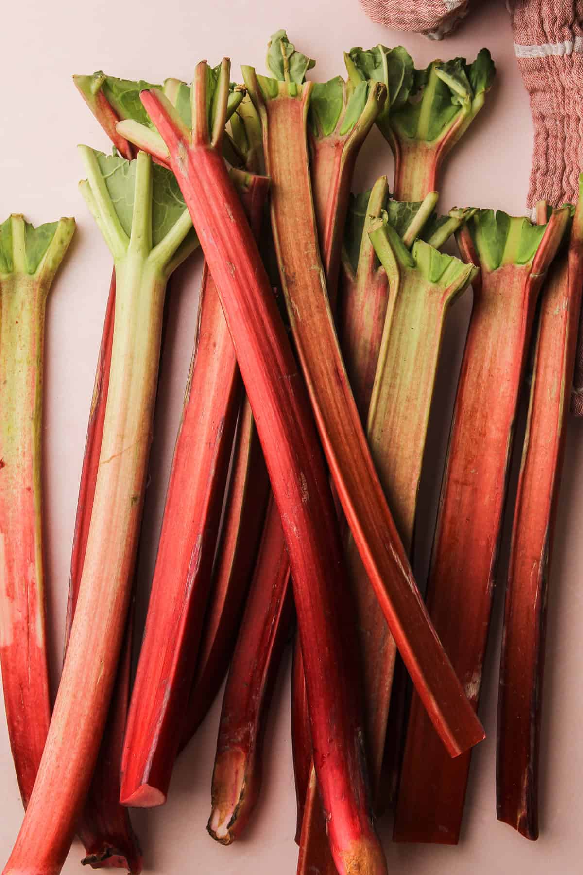 Tiges de rhubarbe