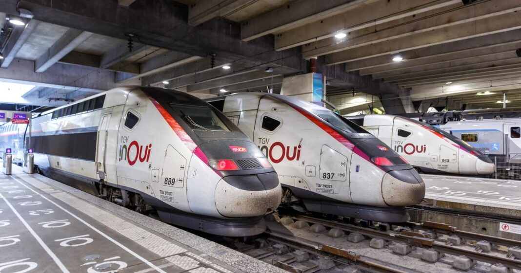 Deux ans après la mort du chat Neko, la SNCF accorde désormais 20 minutes pour sauver un animal sur les voies