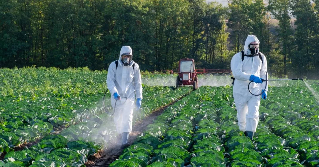 Députés et sénateurs trouvent un compromis sur la loi Duplomb, incluant la réintroduction d’un pesticide