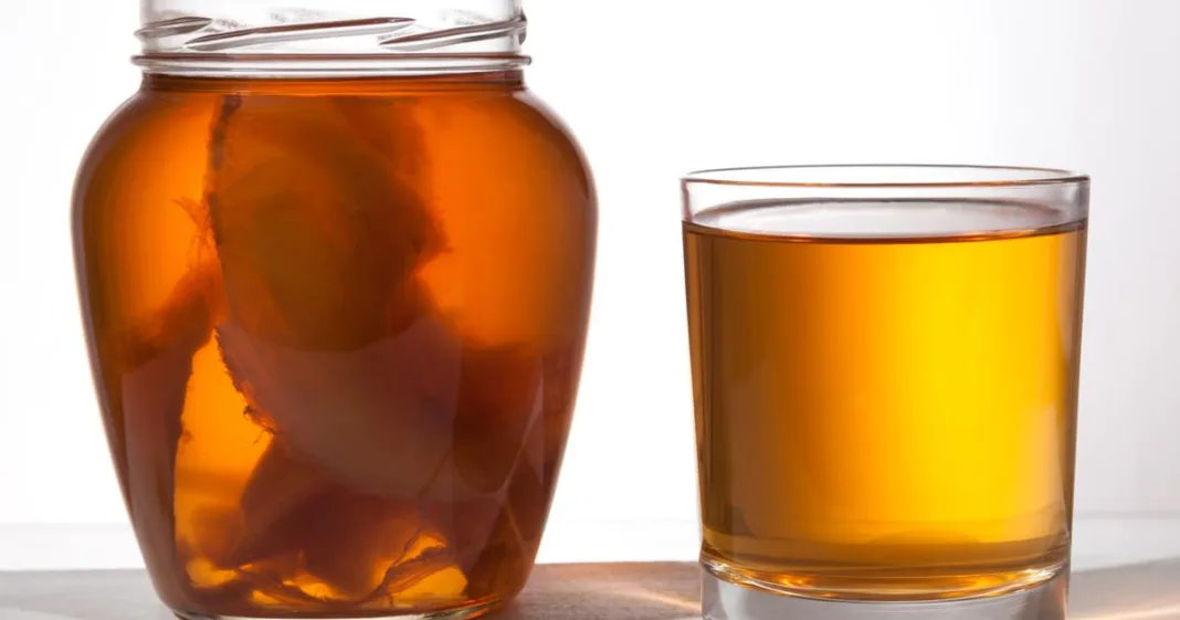 Kombucha, kéfir... Comment les boissons probiotiques veulent détrôner les sodas en misant sur les jeunes consommateurs