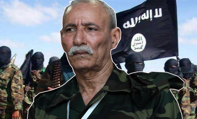 polisario terrorisme