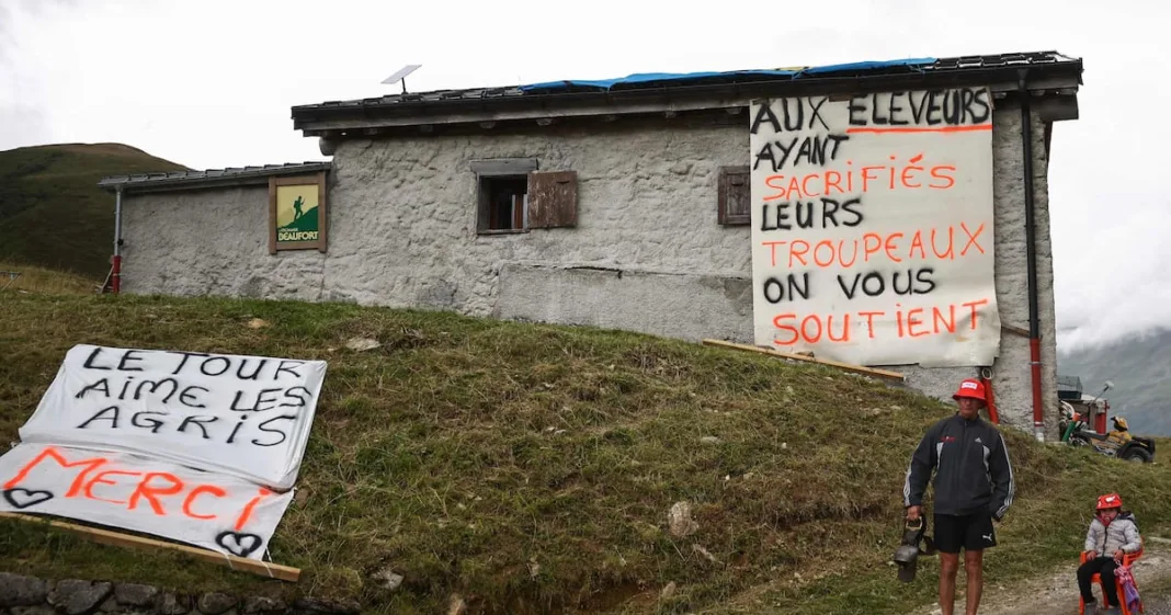 sur le Tour de France, des éleveurs «à cran» face à la dermatose nodulaire contagieuse – Libération