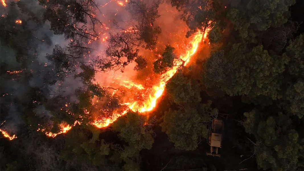 incendies Syrie